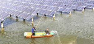 10 Lợi Ích Điện Mặt Trời Mang Lại Cho Ngành Chăn Nuôi Thủy Sản